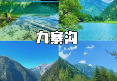 华体会体育：百家乐新手入门攻略，轻松掌握基本玩法