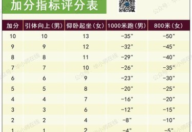 华体会体育app专题报道：探讨国际田径赛中选手训练数据、体能评估及心理调适在比赛中的关键作用