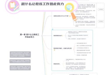 华体会体育平台全方位解读：从教练智慧到球员执行力，盘点成功球队背后不为人知的秘密