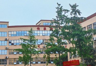 华体会体育独家专访：解析体育培训机构如何通过先进设备、专业团队及数据支持培养未来冠军