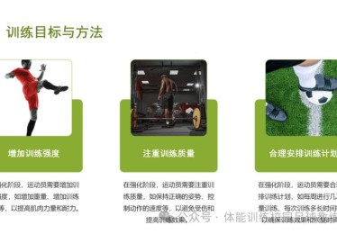 华体会体育平台专题：探讨足球运动员伤病预防、康复训练与竞技状态恢复的最新方法