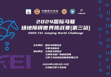华体会体育官网专题报道：聚焦国际马术比赛中骑手技术、马匹状态及赛道策略对比赛结果的影响