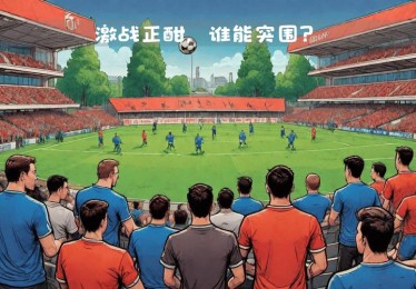 华体会体育app观察：欧冠小组赛最后一轮激战，哪些球队将突围？