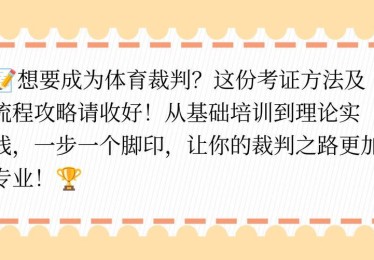 华体会体育独家专访：解析体育赛事中裁判判罚、视频辅助及智能系统如何保障比赛的公平与公正