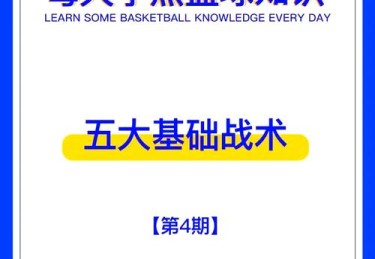 华体会体育全新视角：解析篮球比赛中从战术布局到场上执行的每个细节及其背后的科学支撑