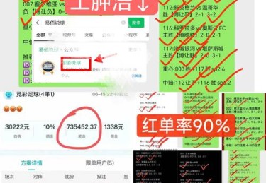 华体会体育权威指南：如何利用统计数据与历史战绩预测体育博彩中的热门投注方向