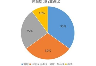 华体会体育全新视角下的体育培训：解析青少年体育教育、专业训练与未来竞技人才培养模式