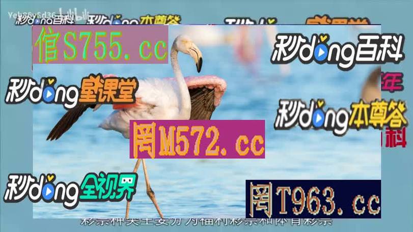 华体会体育:PP电子“龙与骑士”上线,挑战中世纪的巨龙,龙与骑士啵乐