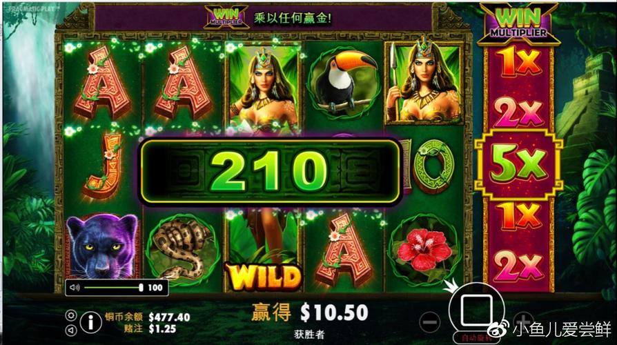 华体会体育:PP电子“烈火探险”发布,探秘烈火中的神秘,烈火体育场