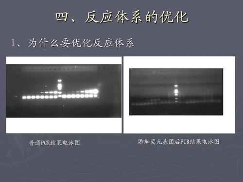 华体会体育解析跨国赛事的投注逻辑,如何通过技术数据优化下注?